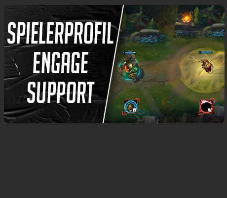 Spielerprofil Engage Support 1
