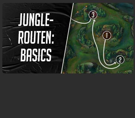 Basics für den Jungle 3