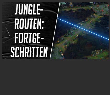 Basics für den Jungle 4