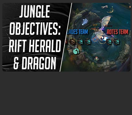 Basics für den Jungle 6