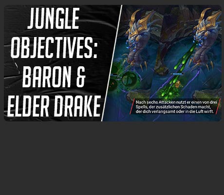 Basics für den Jungle 7
